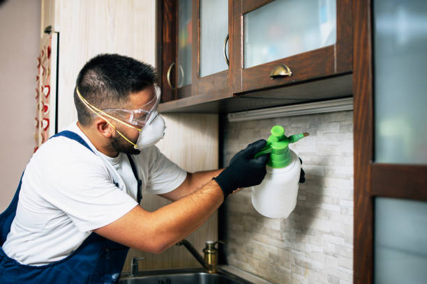 Best Commercial Pest Control Services  in Hillsboro, ND