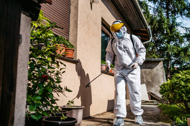 Best Cockroach Control Services  in Hillsboro, ND