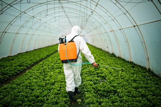 Best Best Pest Control Companies  in Hillsboro, ND