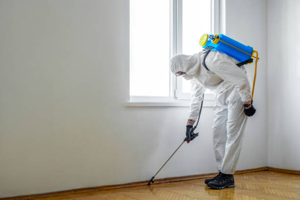 Best Residential Pest Control  in Hillsboro, ND